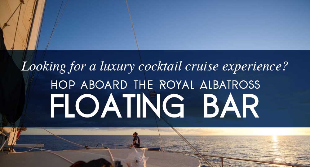 luxury cocktail cruise floating bar royal albatross