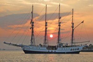 tall ship side view with sunset background royal albatross
