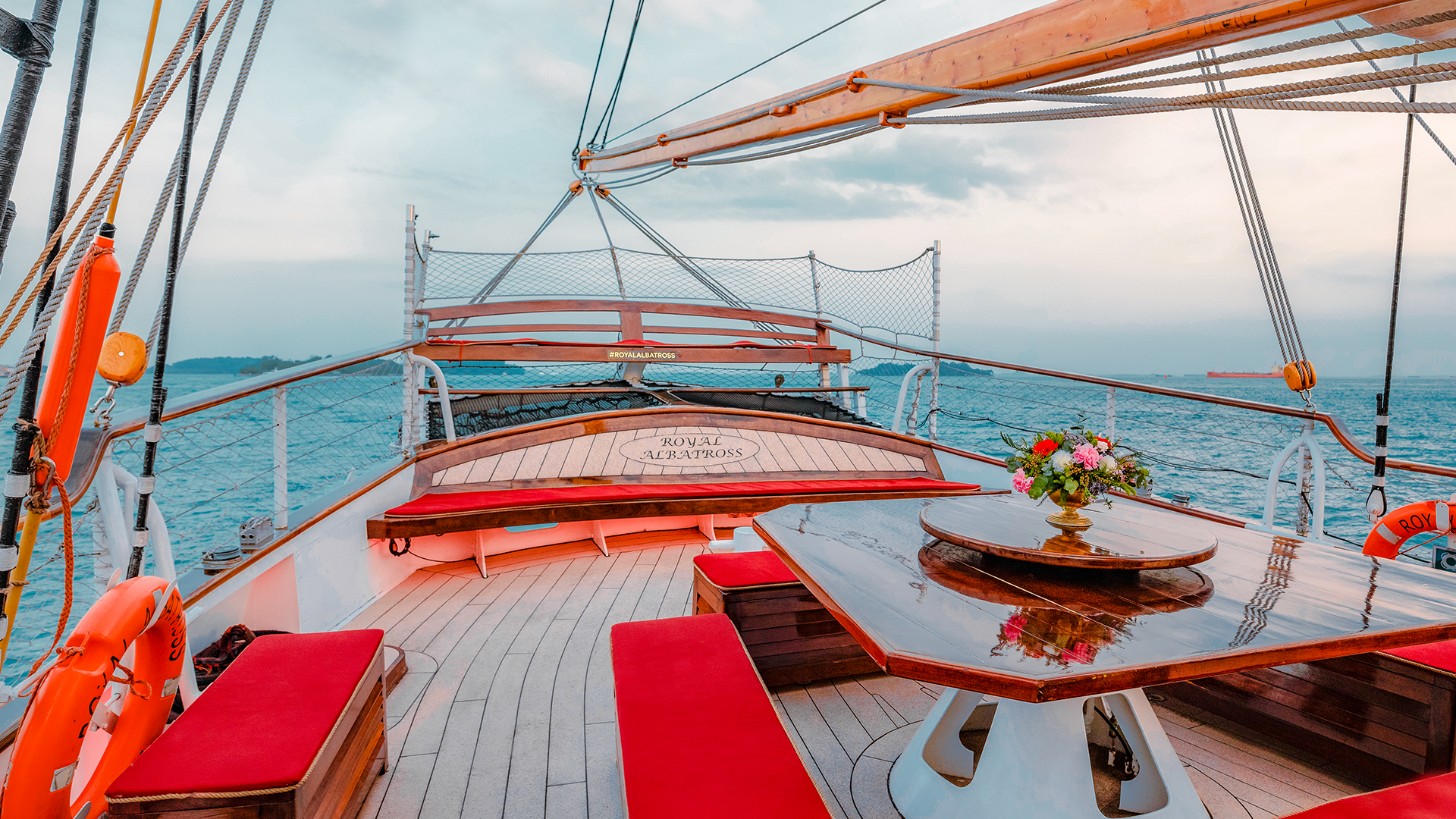 Royal Albatross Exclusive Charter