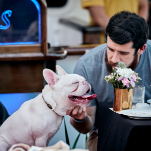 Bark / Gotcha Day Package Dog Cruise™ (Valentine)