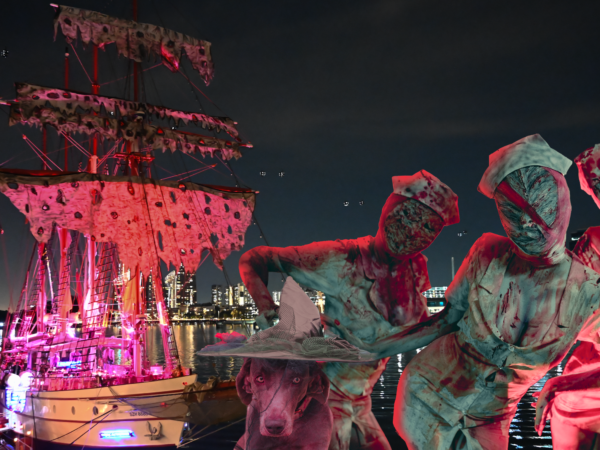 Royal Albatross - Halloween 2023