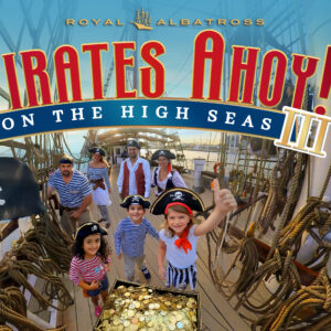 Pirates Ahoy, On the High Seas - Adult Ticket