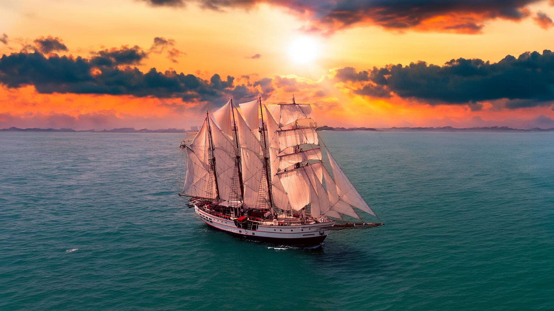 Royal Albatross SG60 Deals: Experience a Unique Sunset Cruise_5