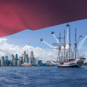 NATIONAL DAY SPECIAL – ADULT TICKET