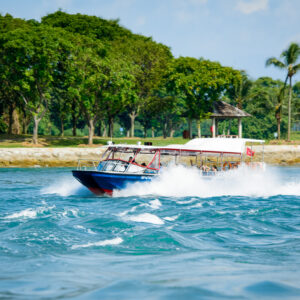 Albatross Speedboat Ride + OLA Beach Club After Party