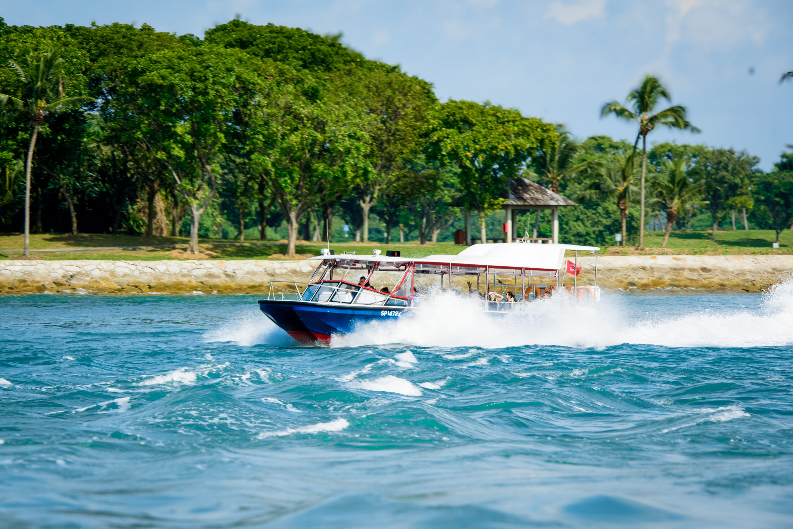 Where to Watch NDP Fireworks 2025: Best Views at Sea_5