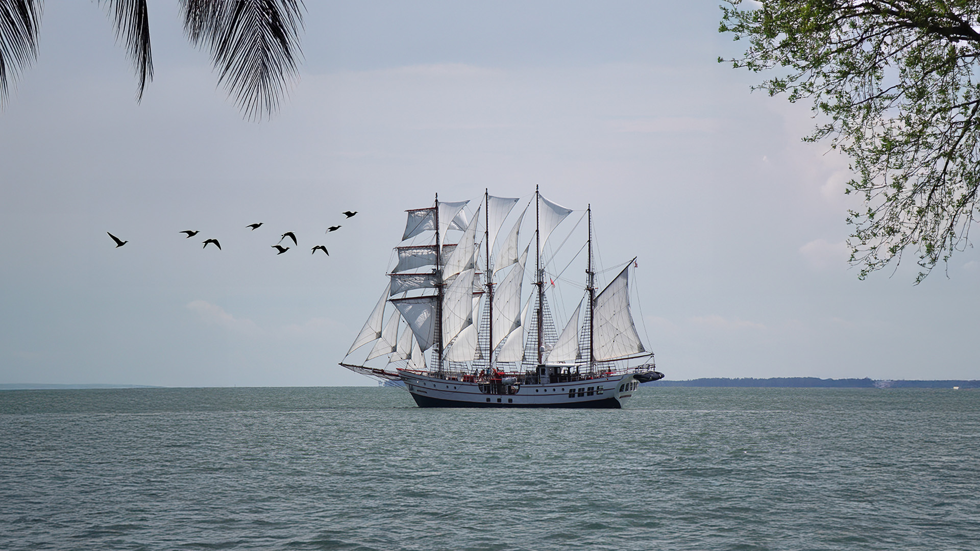 What Class of Ship Is the Royal Albatross?_2